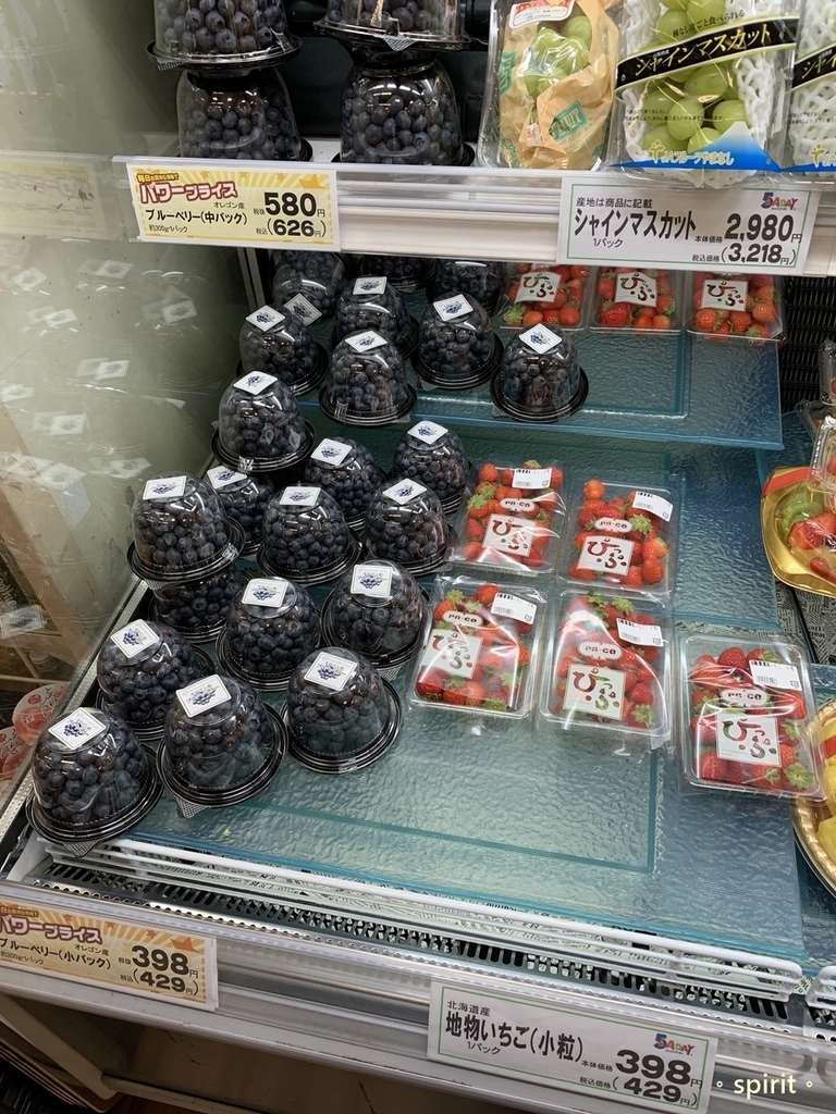 北海道親子夏日遊記(17)｜旭川藝術酒店/ 旭川 Art H