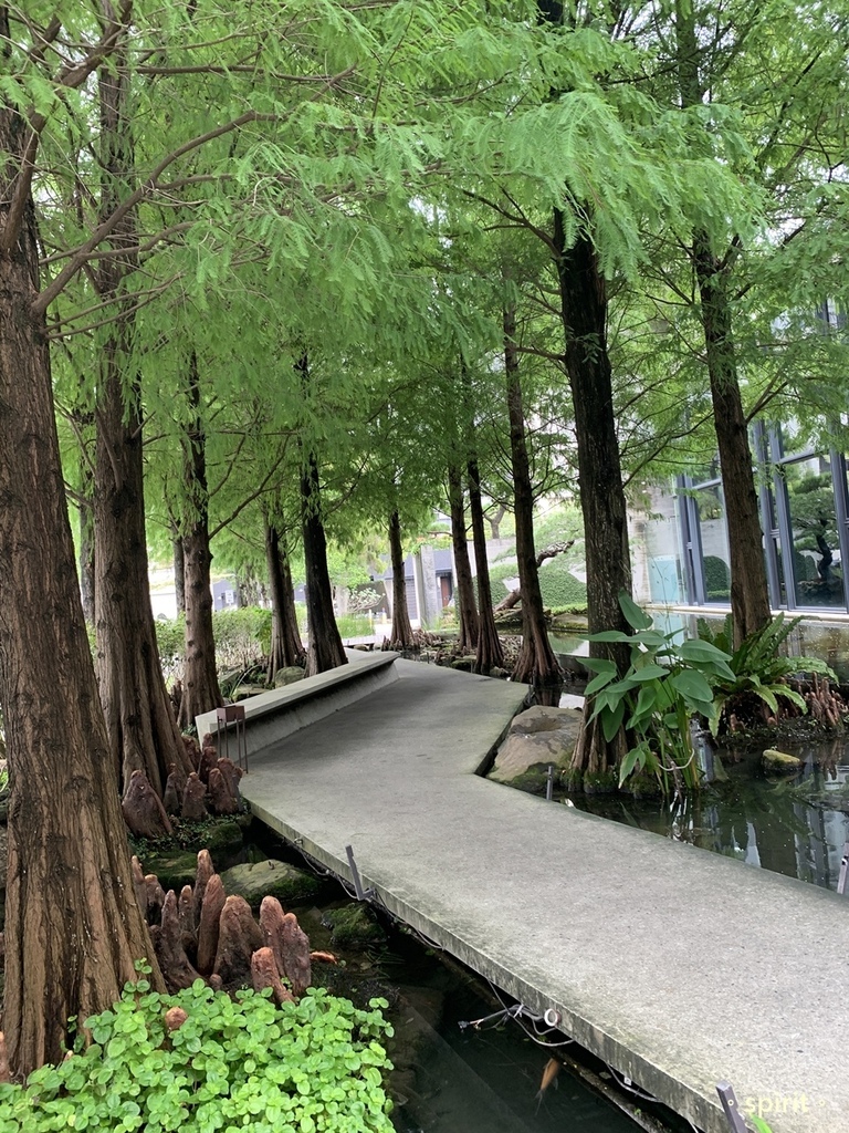 与玥樓頂級粵菜餐廳＊台中南屯