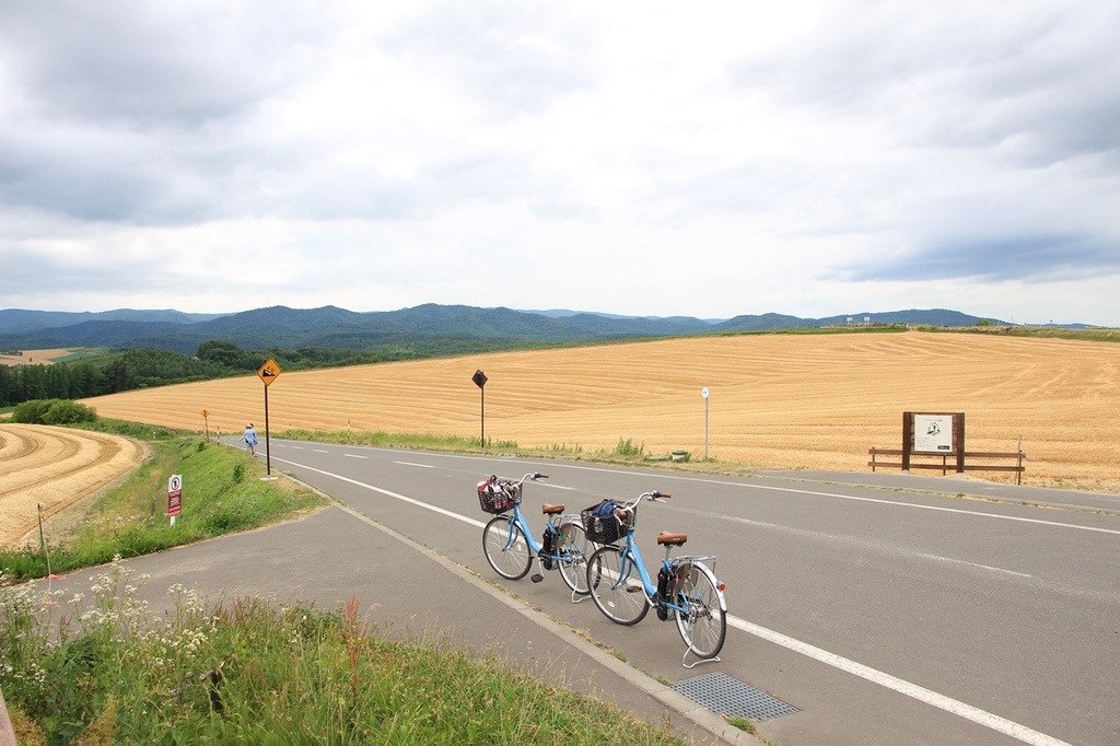 北海道親子夏日遊記(19)｜美瑛景點－拼布之路：親子の木、七