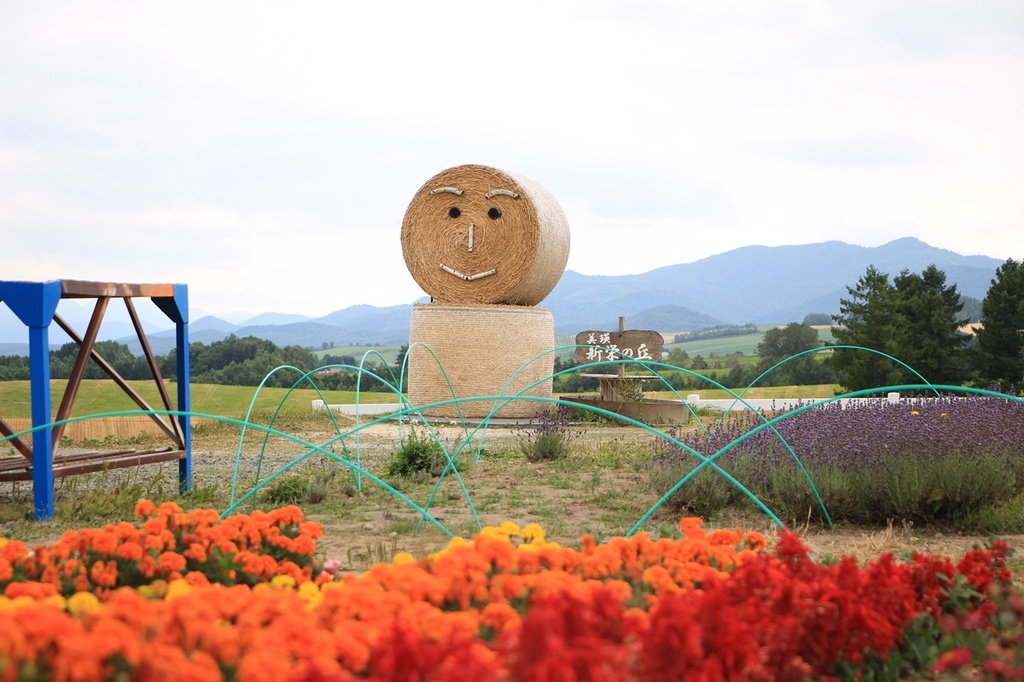 北海道親子夏日遊記(21)｜美瑛景點－全景之路、新榮之丘展望