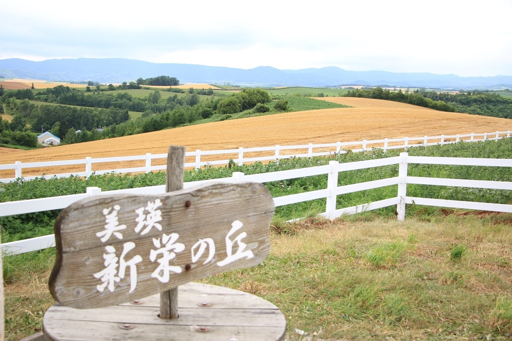 北海道親子夏日遊記(21)｜美瑛景點－全景之路、新榮之丘展望