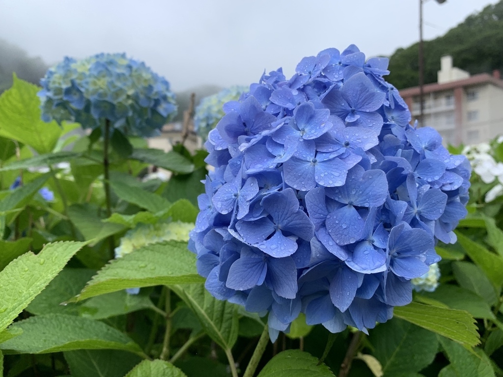 北海道親子夏日遊記(30)｜登別景點－泉源公園、登別溫泉街(