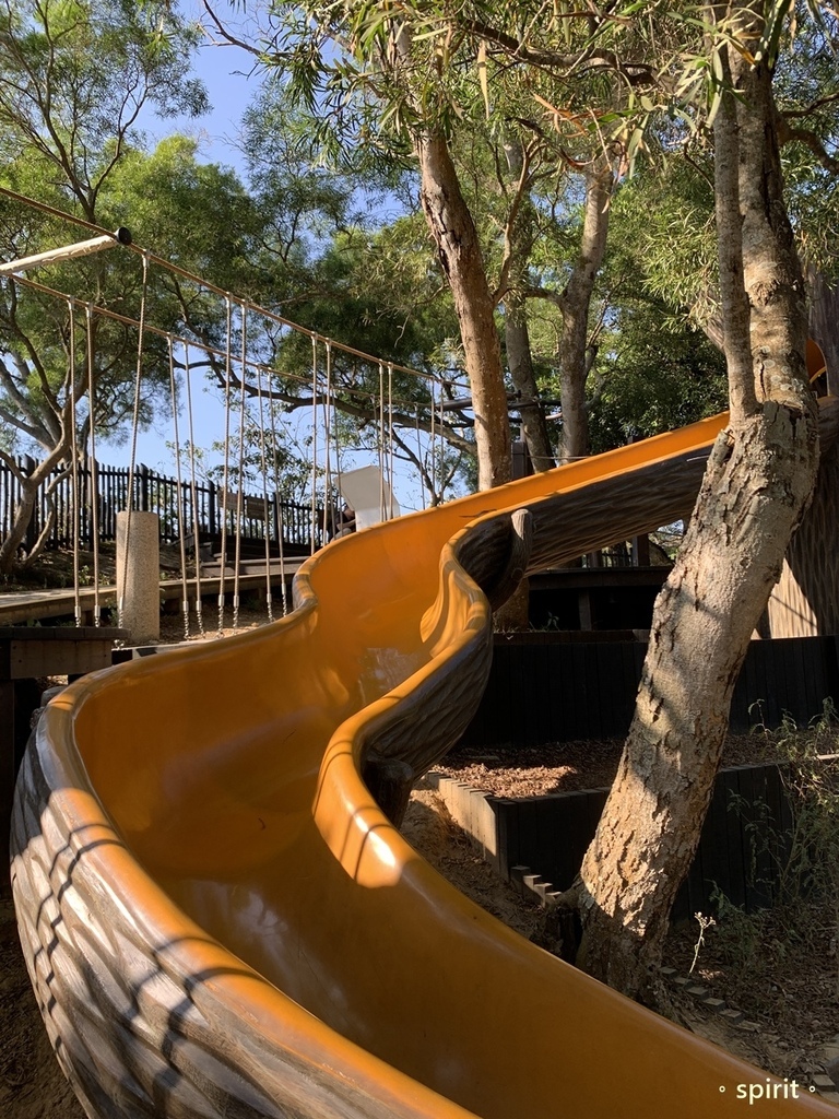 台中大坑風動石公園－森林裡的親子遊樂場＊台中北屯