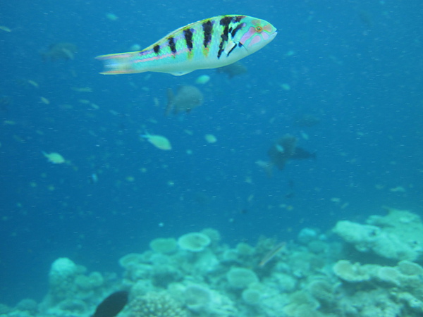IMG_1419.JPG IMG_1419.JPG