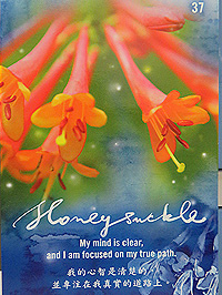 Honeysuckle