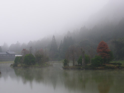 霧氣濛濛