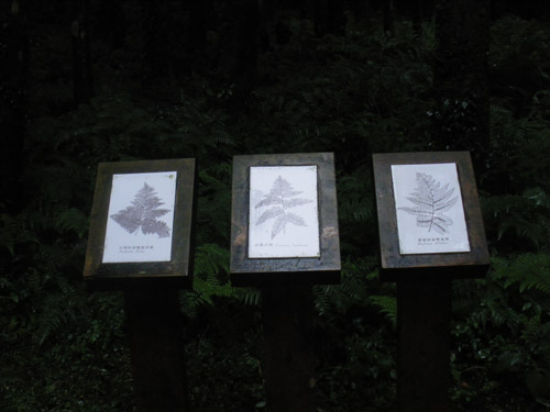 植物介紹看板