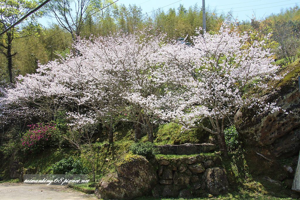 2016高山青農場