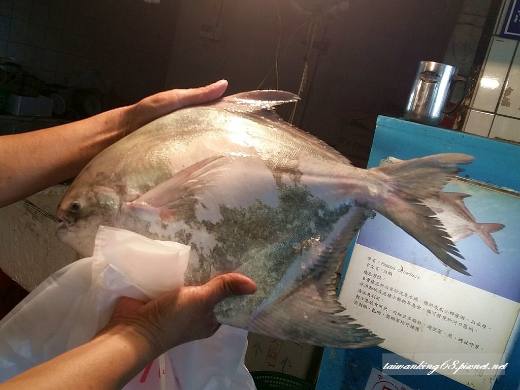 20160922_白鯧魚 20160922_白鯧魚