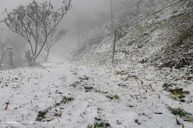 姜麻園下雪 駱駝商旅隊 姜麻園下雪 駱駝商旅隊