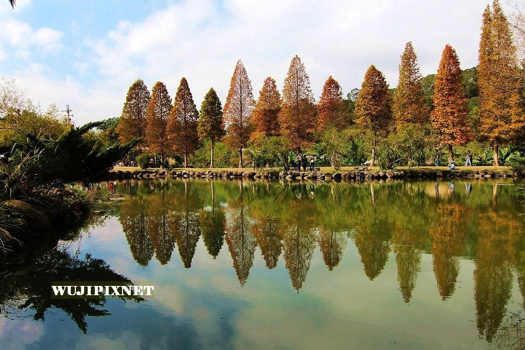 北埔六塘休閒谷 北埔六塘休閒谷