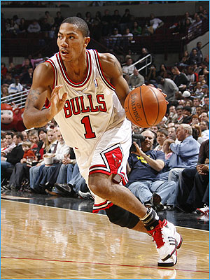 d_rose_300_20081020.jpg