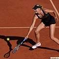 Sharapova 大豐收，搶下后座 奪回球后