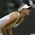 Sharapova 遇雨停賽