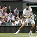 Djokovic 以 3 比 1 淘汰 Stepanek 