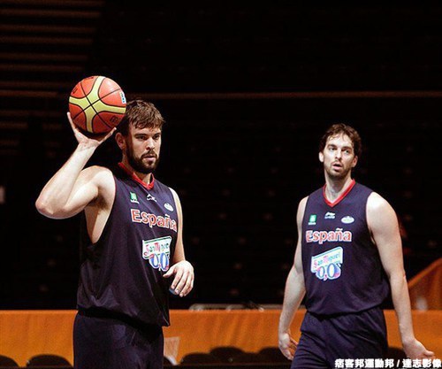 Gasol 兄弟