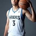 灰狼 -- Brandon Roy