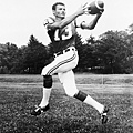 NFL-Don Maynard