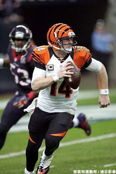 孟加拉虎四分衛 Andy Dalton