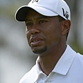衛冕帕瑪高球賽冠軍　Tiger Woods重返球王寶座