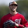 Bryce Harper