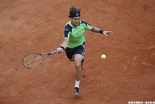 David Ferrer 