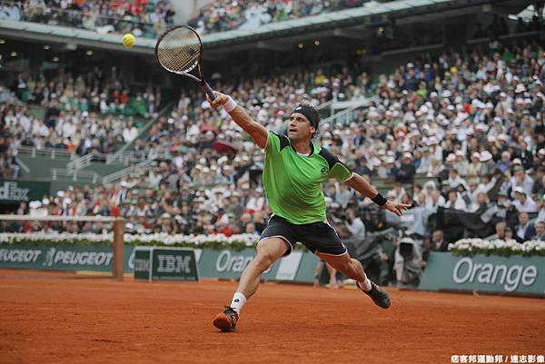 David Ferrer