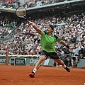 David Ferrer