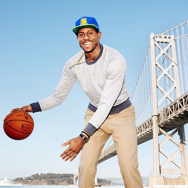 Andre Iguodala