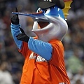 邁阿密馬林魚 Billy The Marlin