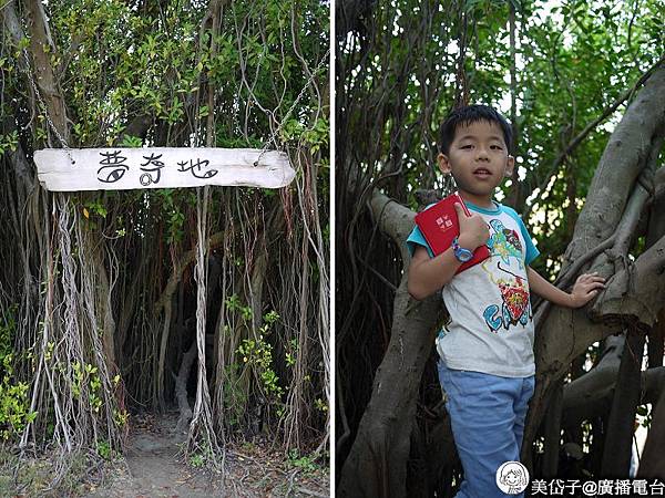 雲嘉南濱海風景管理處7.jpg