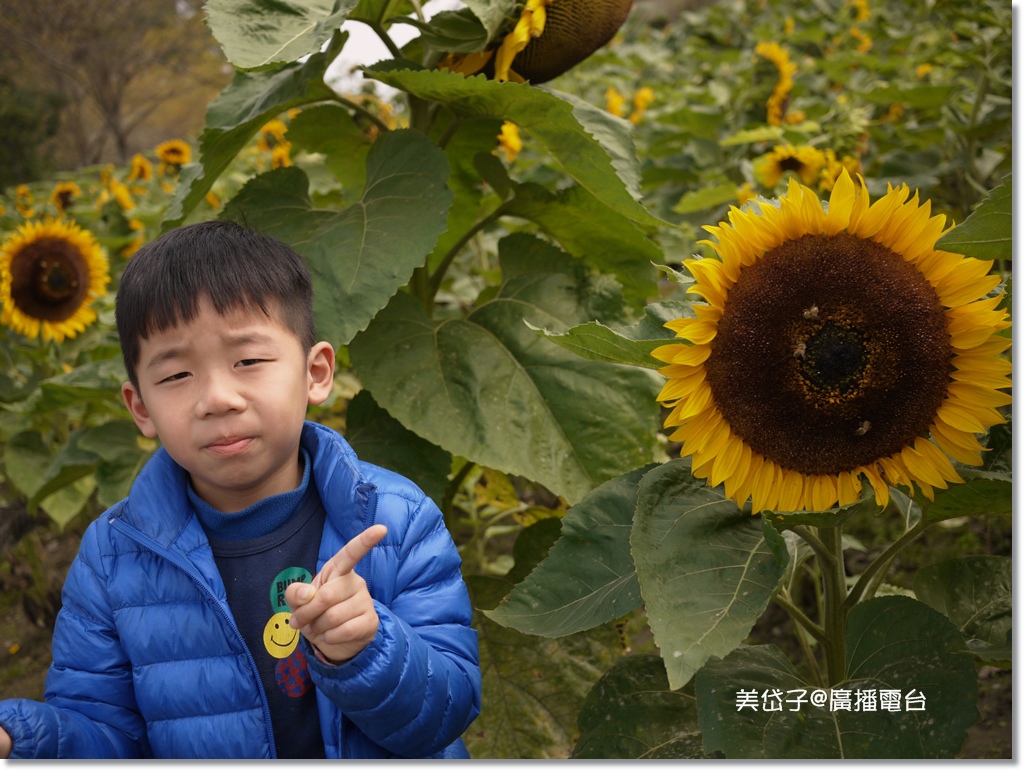 2015-02-23@東山休息站2.JPG