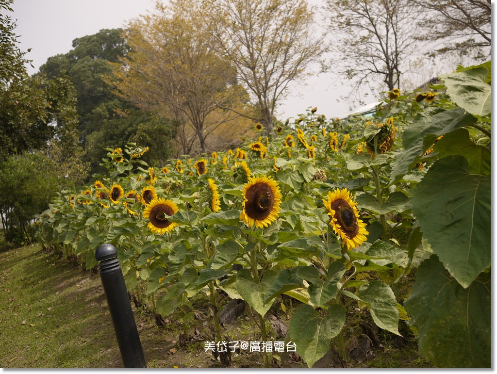 2015-02-23@東山休息站3.JPG