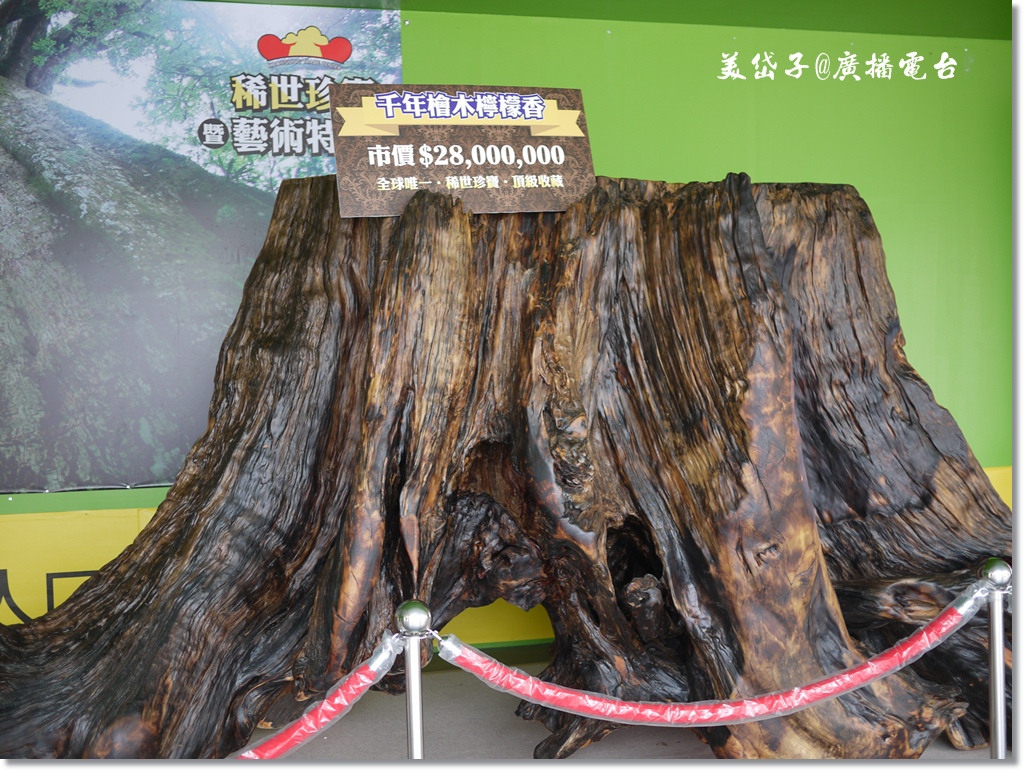 氣球探險夢幻樂園6.JPG 氣球探險夢幻樂園6.JPG