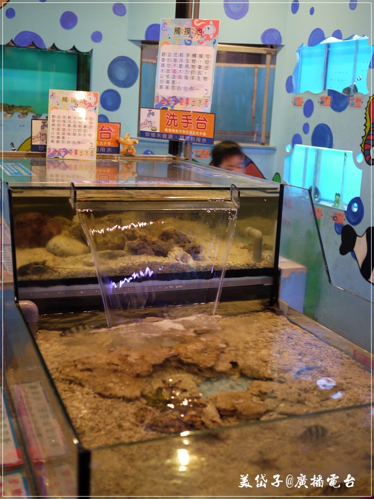 七星柴魚博物館18.JPG