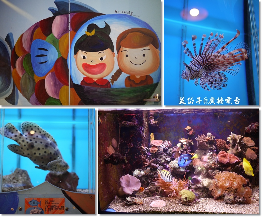 七星柴魚博物館20.jpg