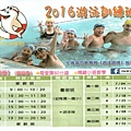 2016暑期泳訓.jpg