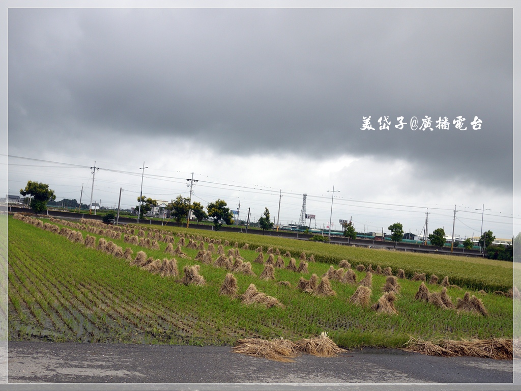 虎尾貓咪小學堂1.JPG 虎尾貓咪小學堂1.JPG