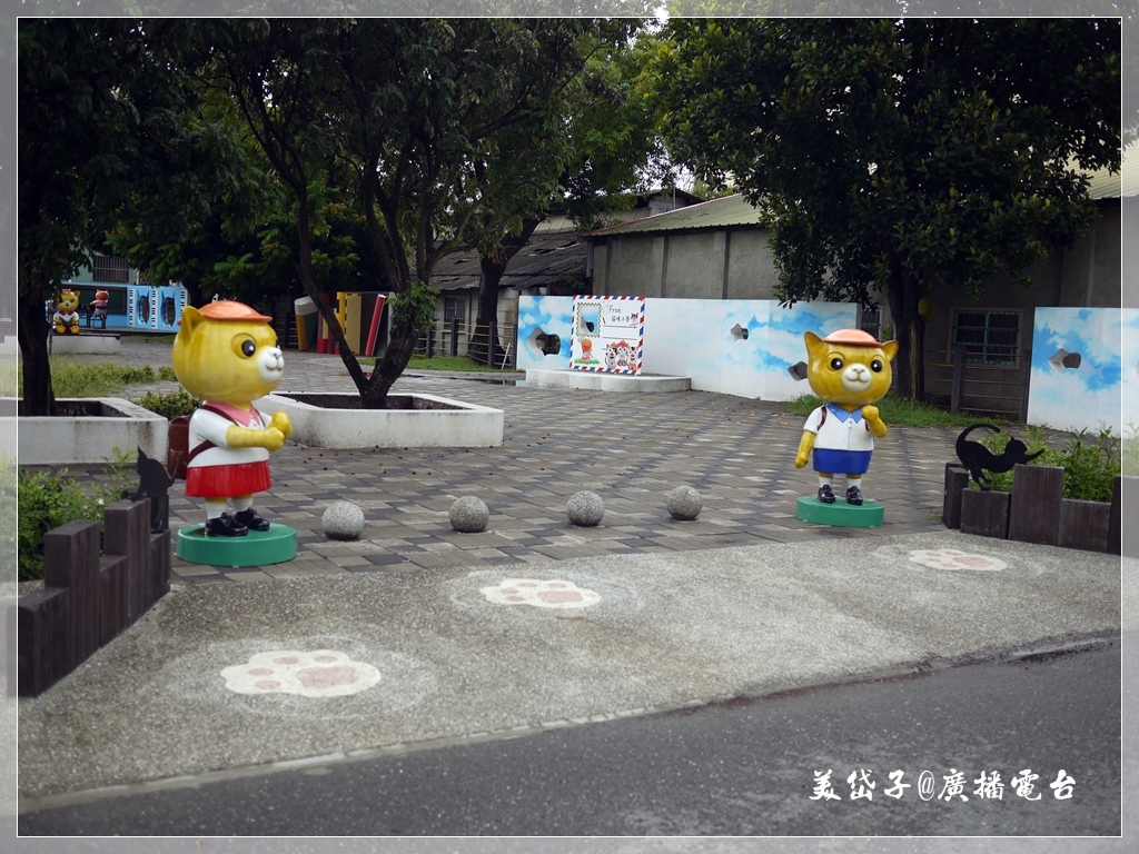 虎尾貓咪小學堂7.JPG