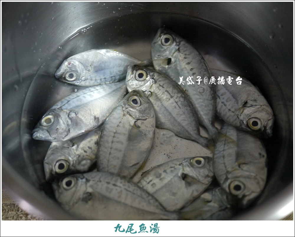 九尾魚湯1.JPG