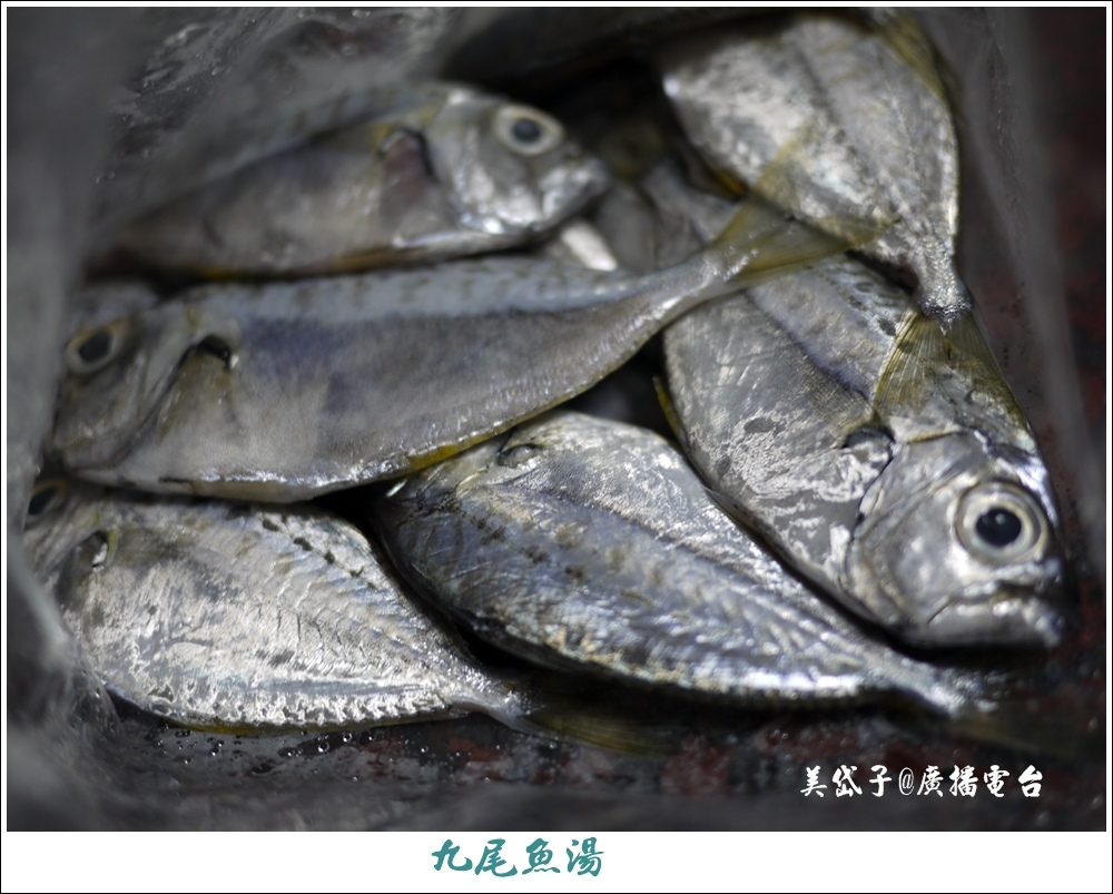 九尾魚湯.JPG