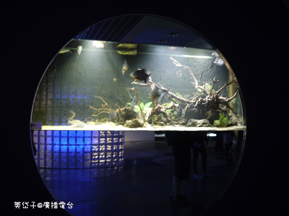 亞太水族館11.JPG