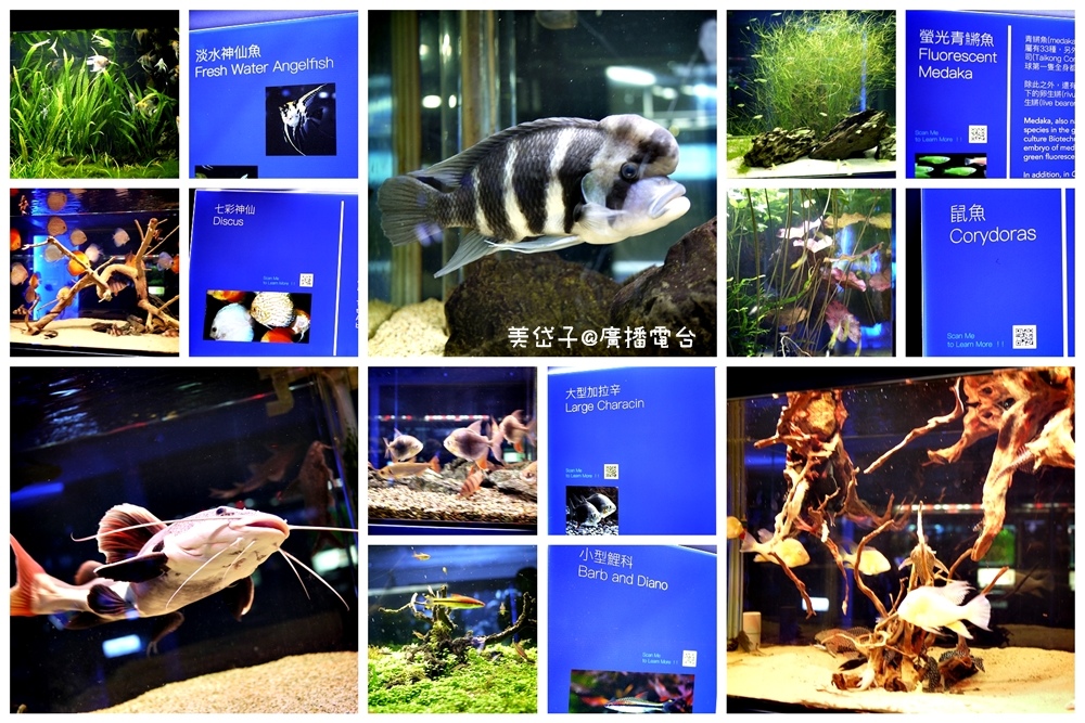 亞太水族館14.jpg