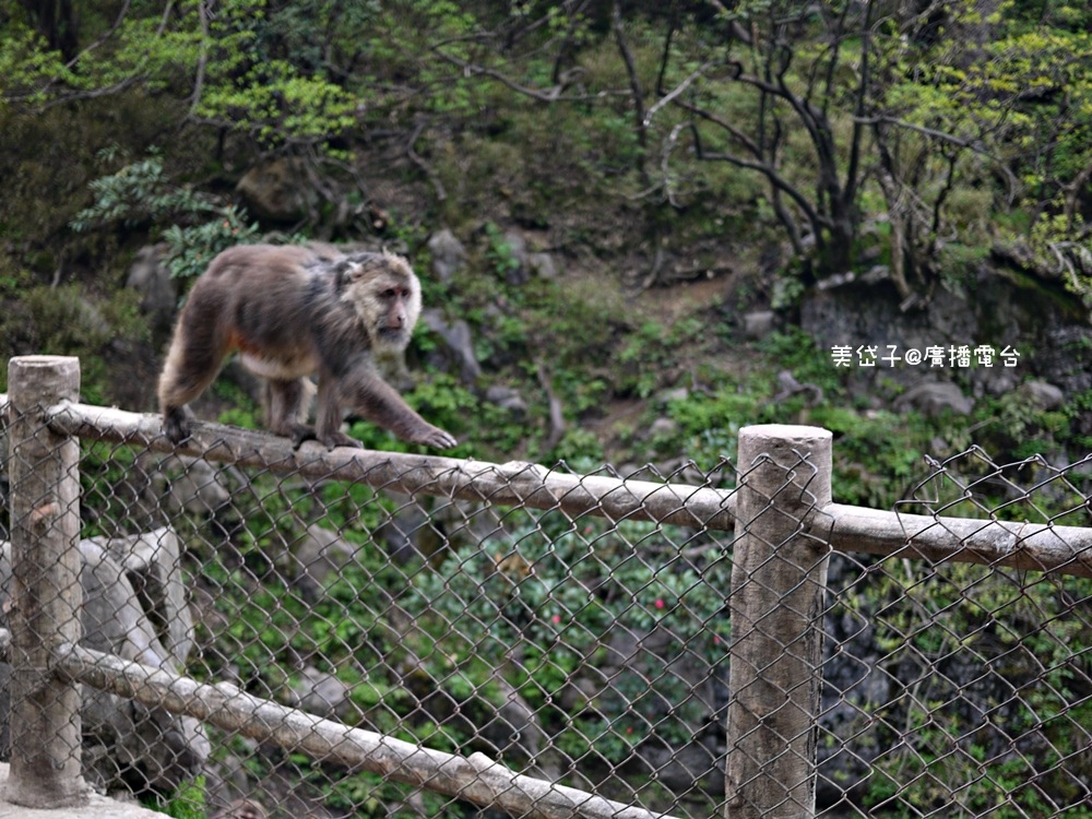 峨嵋山12.JPG 峨嵋山12.JPG
