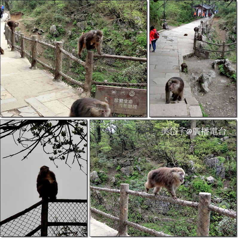 峨嵋山25.JPG 峨嵋山25.JPG