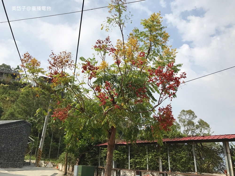 霧台國小11.JPG