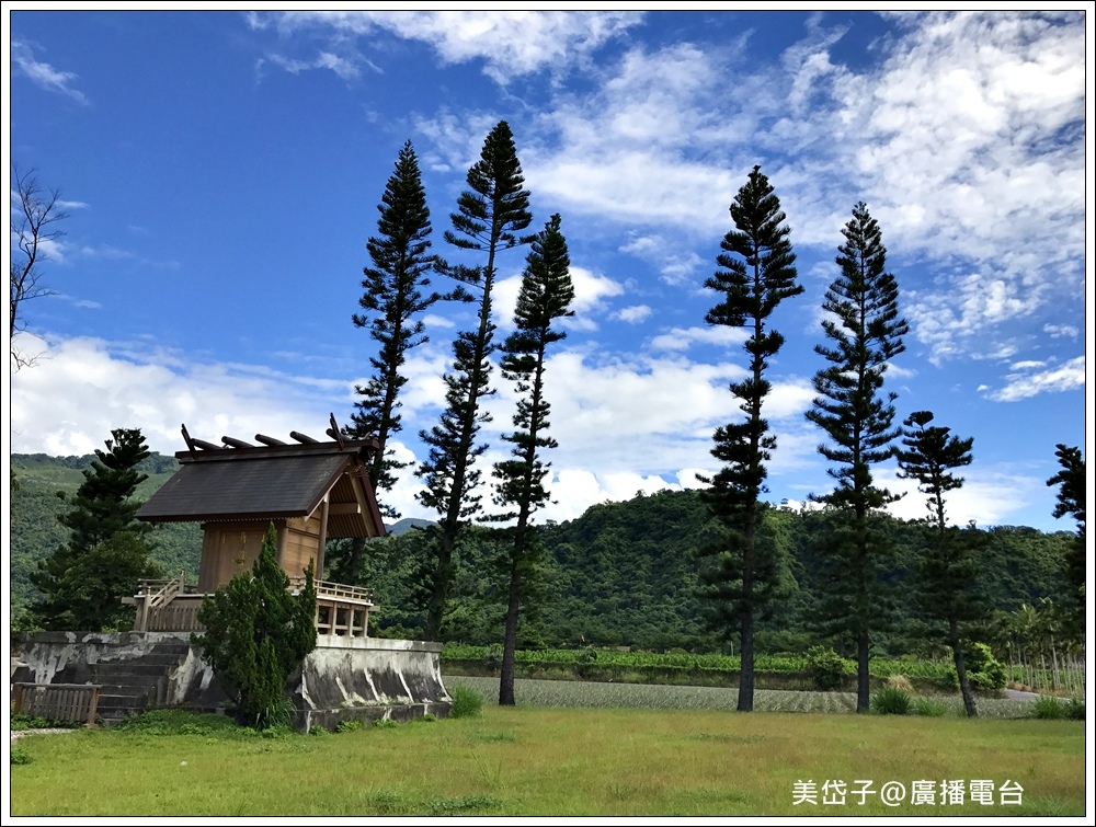 鹿野神社6.JPG