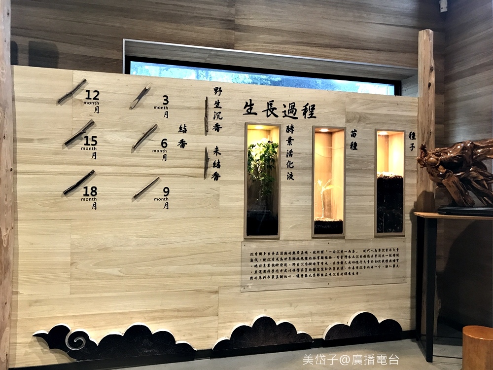 澄霖11.JPG 澄霖11.JPG