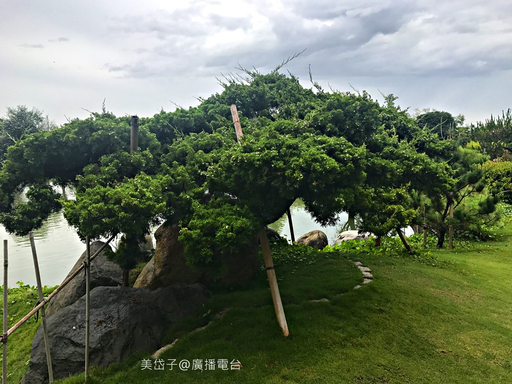 澄霖34.JPG 澄霖34.JPG