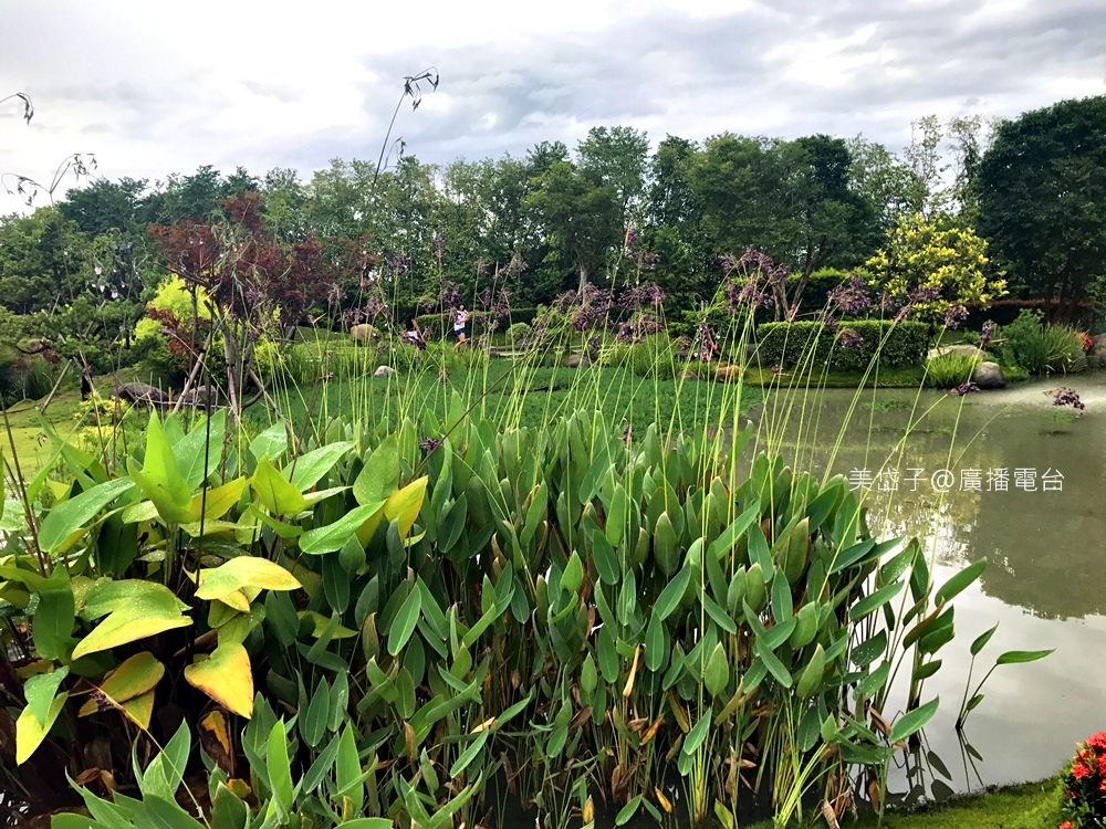 澄霖35.JPG 澄霖35.JPG